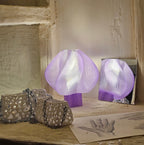 Oferta San Valentín | Edición especial